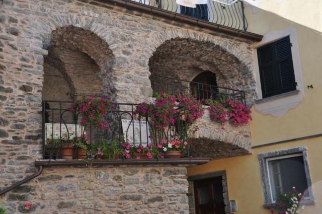 La Meridiana Casale Pignone Zewnętrze zdjęcie